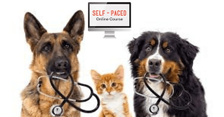 Science & Nature Class - Vet Careers