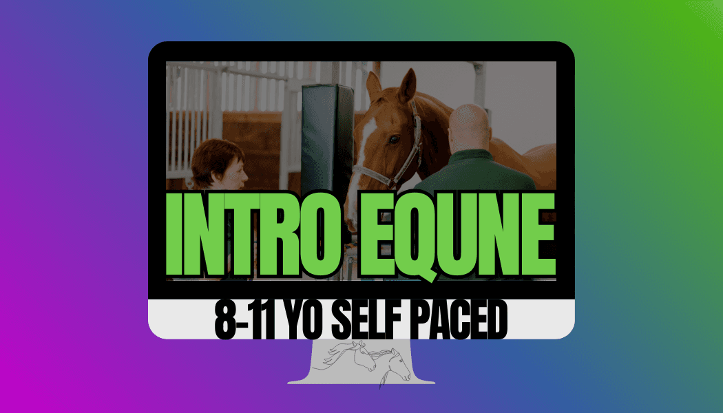 Science & Nature Class - Equine Vet Sci