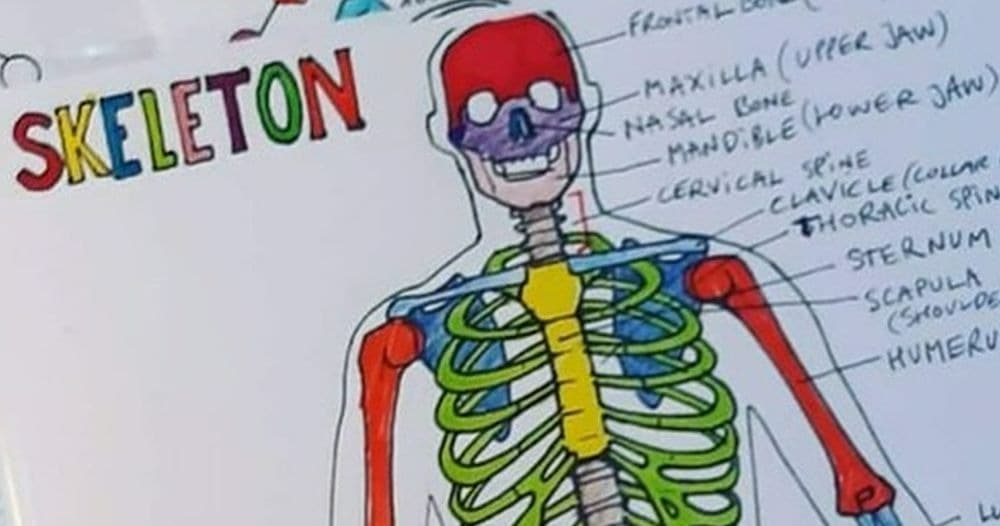 Science & Nature Class - Spooky Bone Art