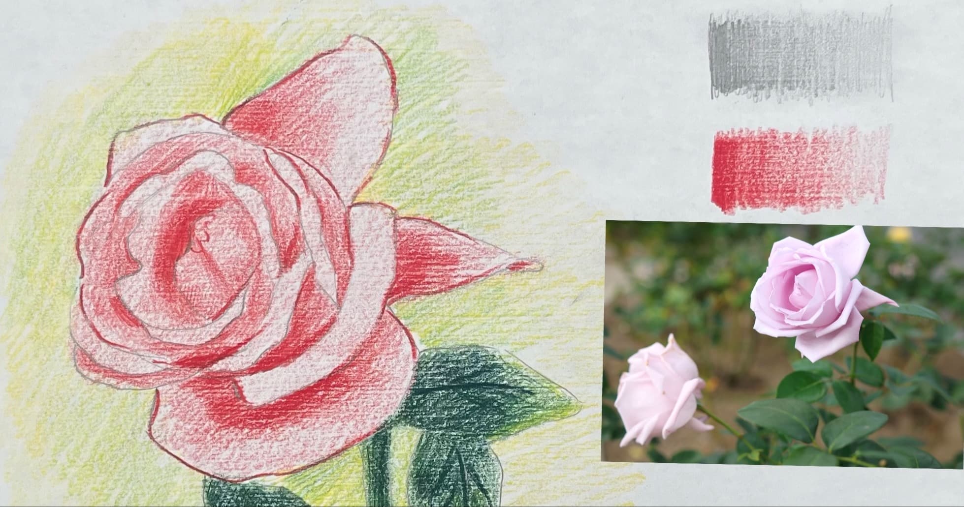 Art Class - Realistic Drawing w/ Pencils