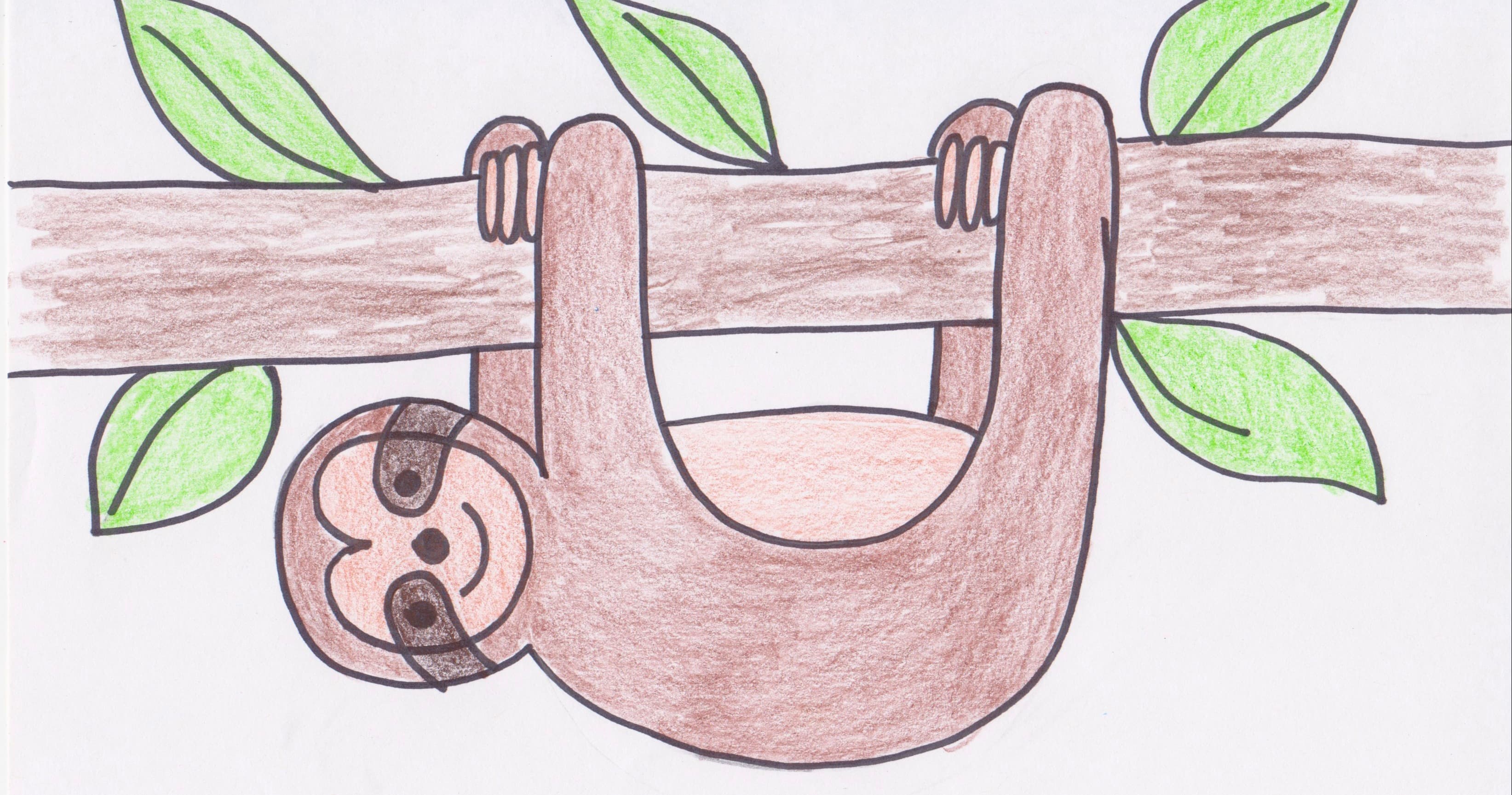 Art Class - Draw a Sweet Sloth