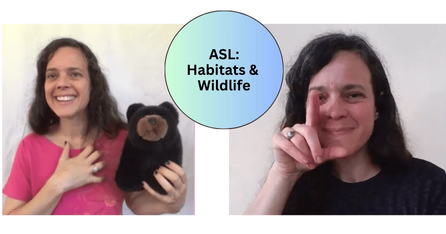 World Languages Class - ASL Wildlife