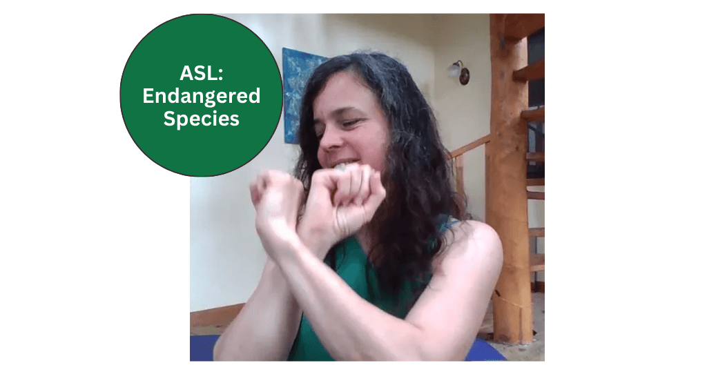 World Languages Class - ASL Endangered