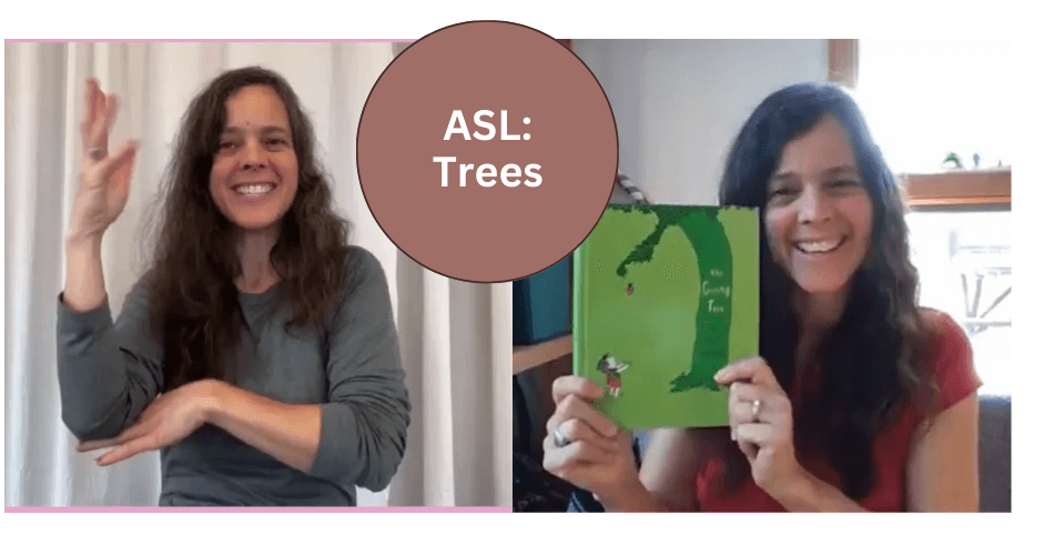 World Languages Class - ASL: Trees