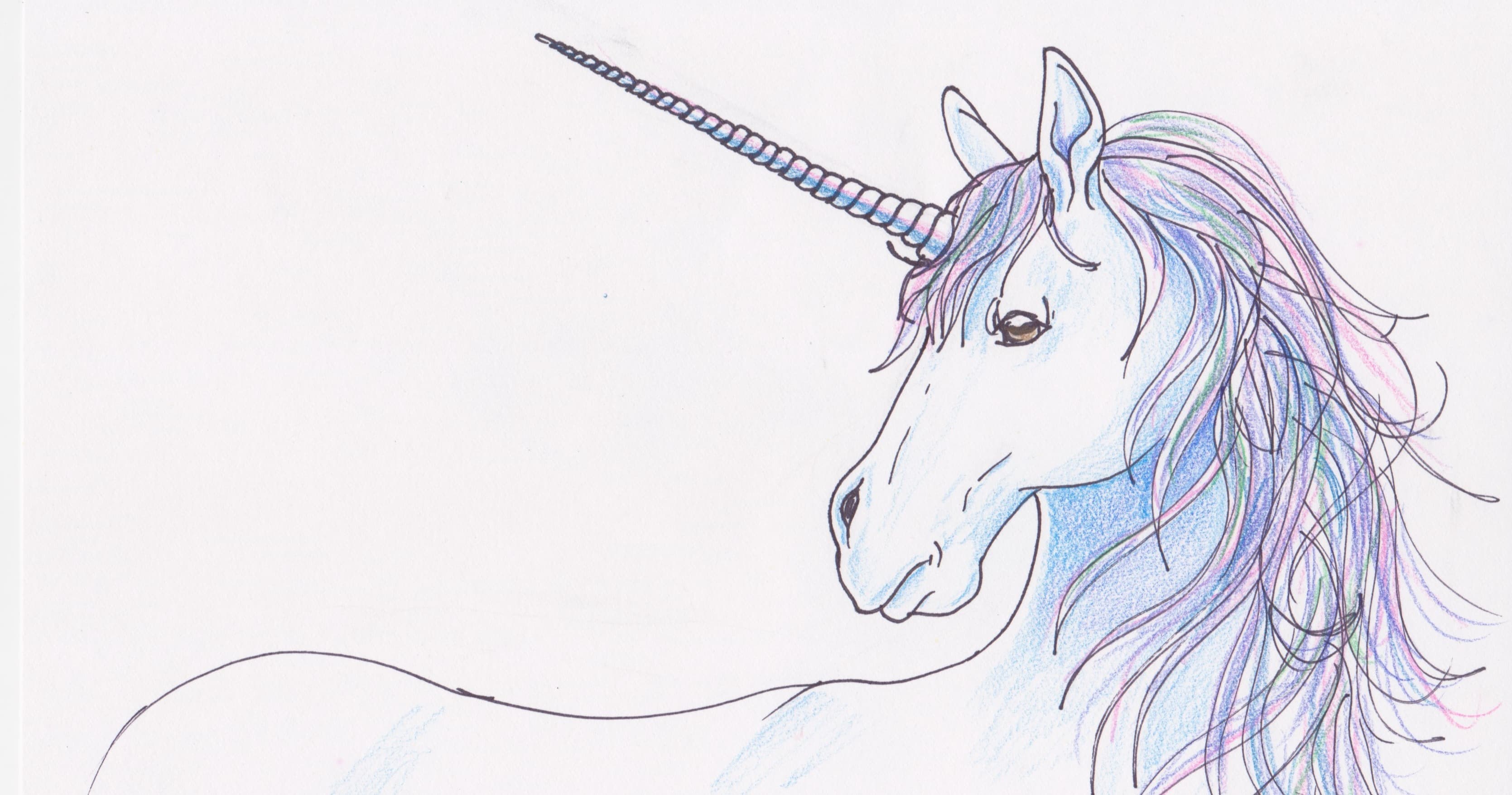 Art Class - Draw a Beautiful Unicorn