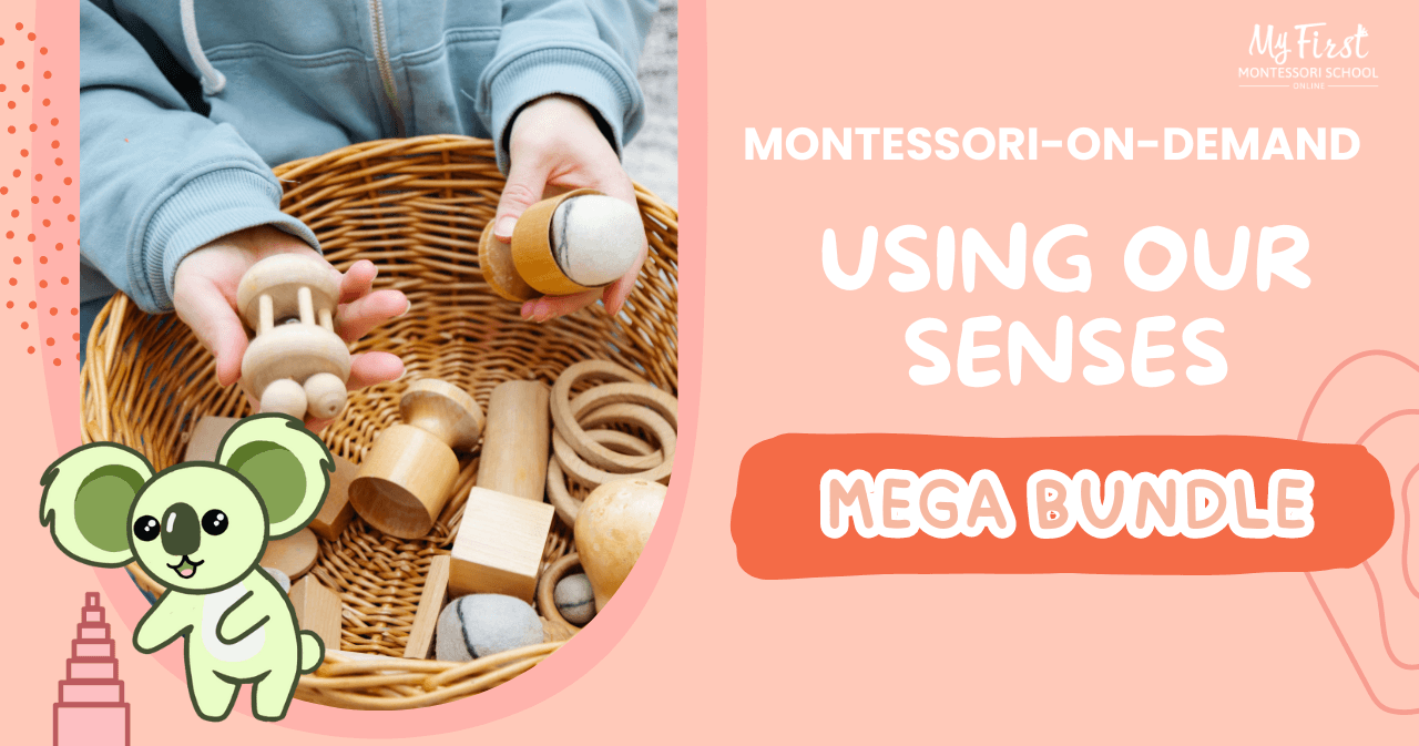Early Education Class - DIY Montessori