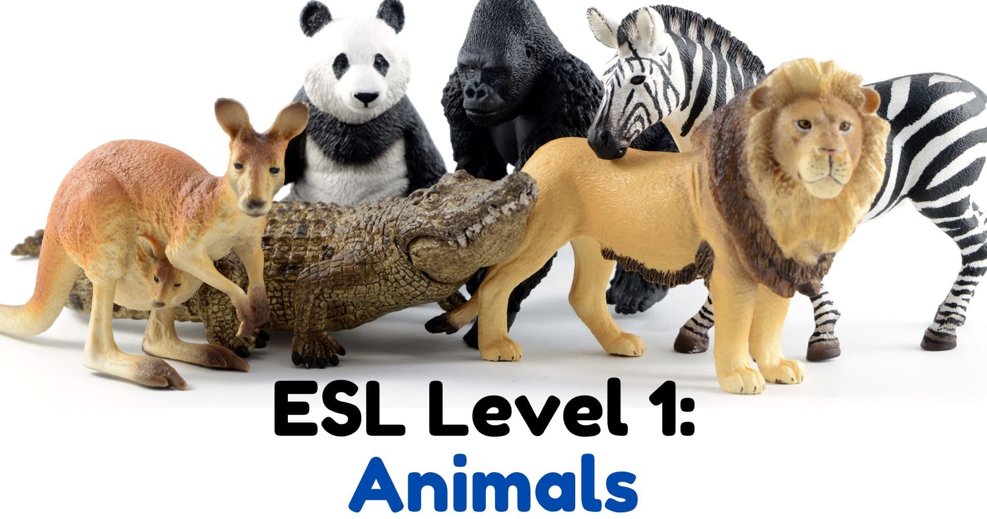 English Class - Amazing Animals ESL