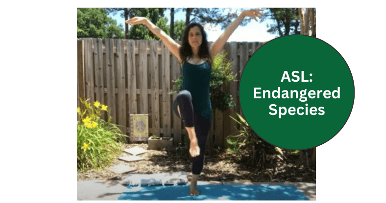 Health & Wellness Class - Eco-Yoga Kids