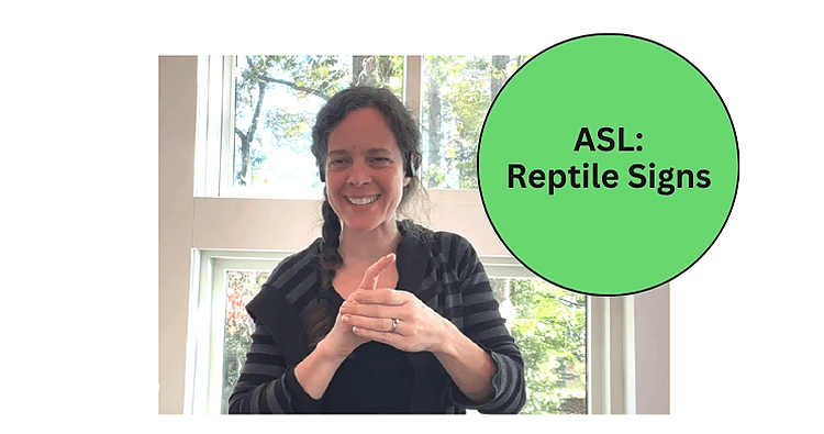 World Languages Class - ASL: Reptiles