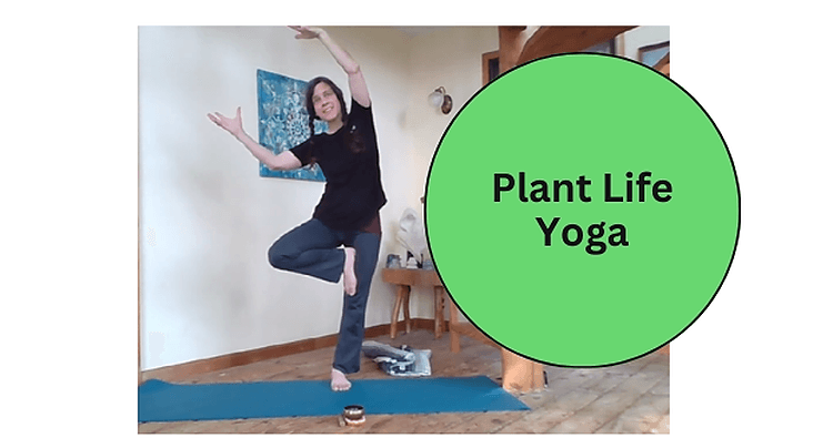 Health & Wellness Class - Botanical Yoga