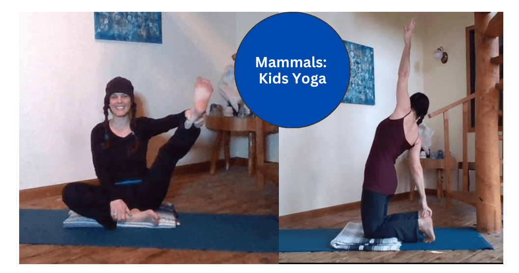 Health & Wellness Class - Mammals Yoga
