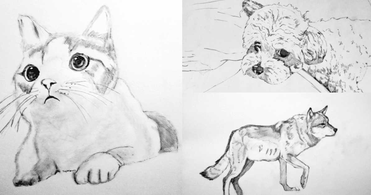 Art Class - Realistic Animal Drawing