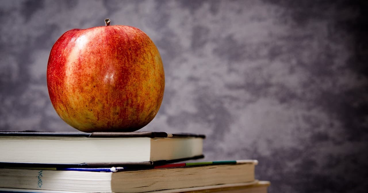 English Class - 3rd Grade Essentials