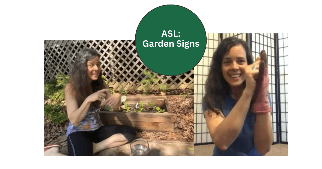 World Languages Class - ASL: Gardens