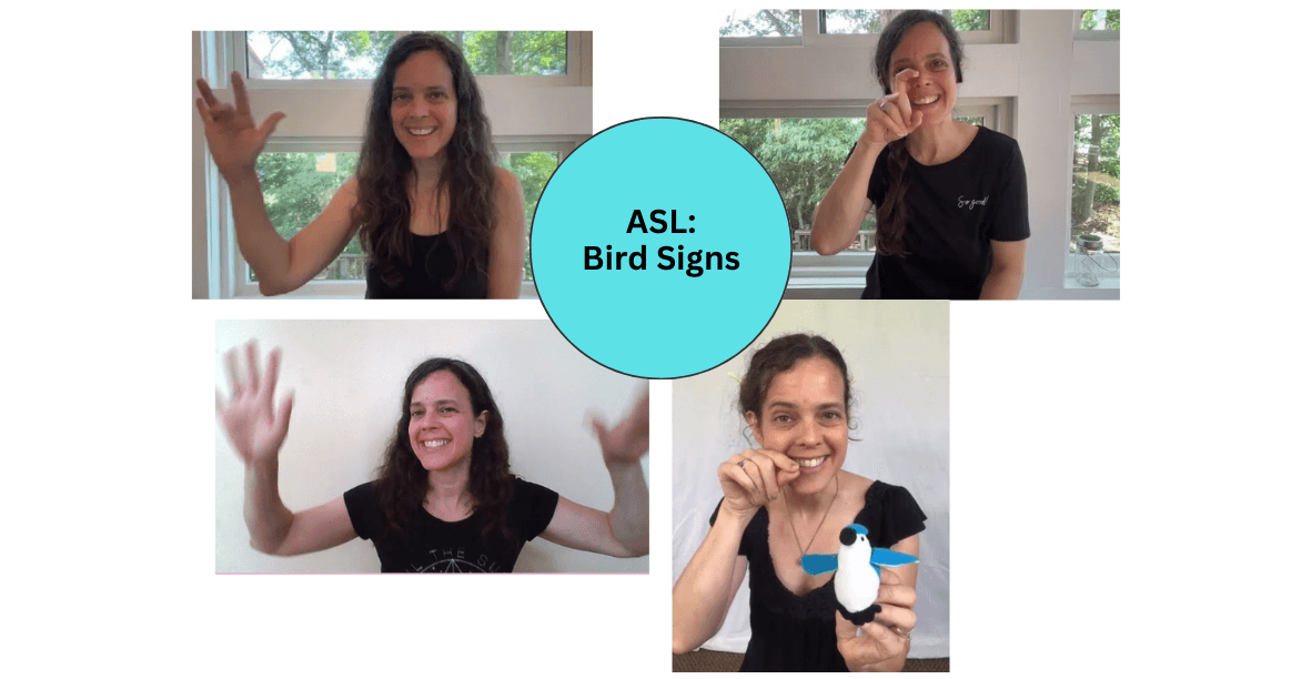 World Languages Class - ASL: Birds