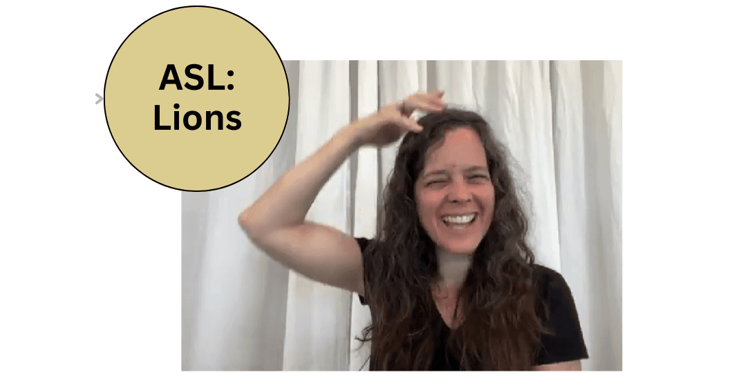 World Languages Class - ASL: Lions