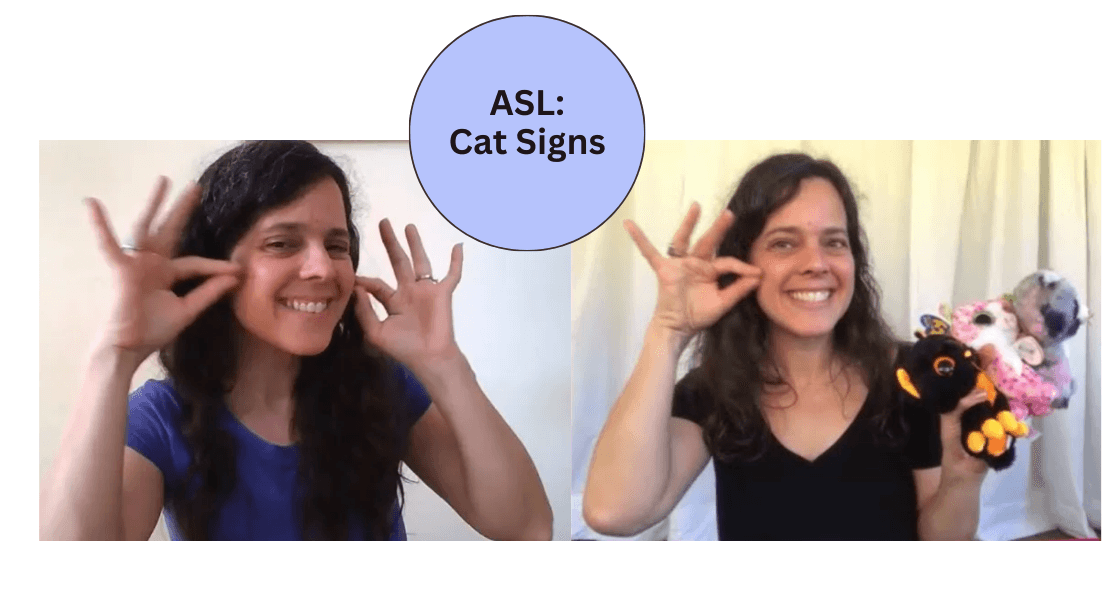 World Languages Class - ASL: Cat Signs