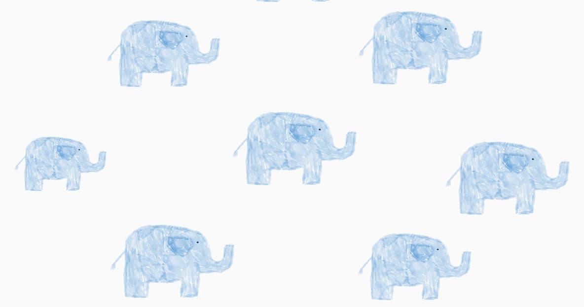 Science & Nature Class - Elephants 101