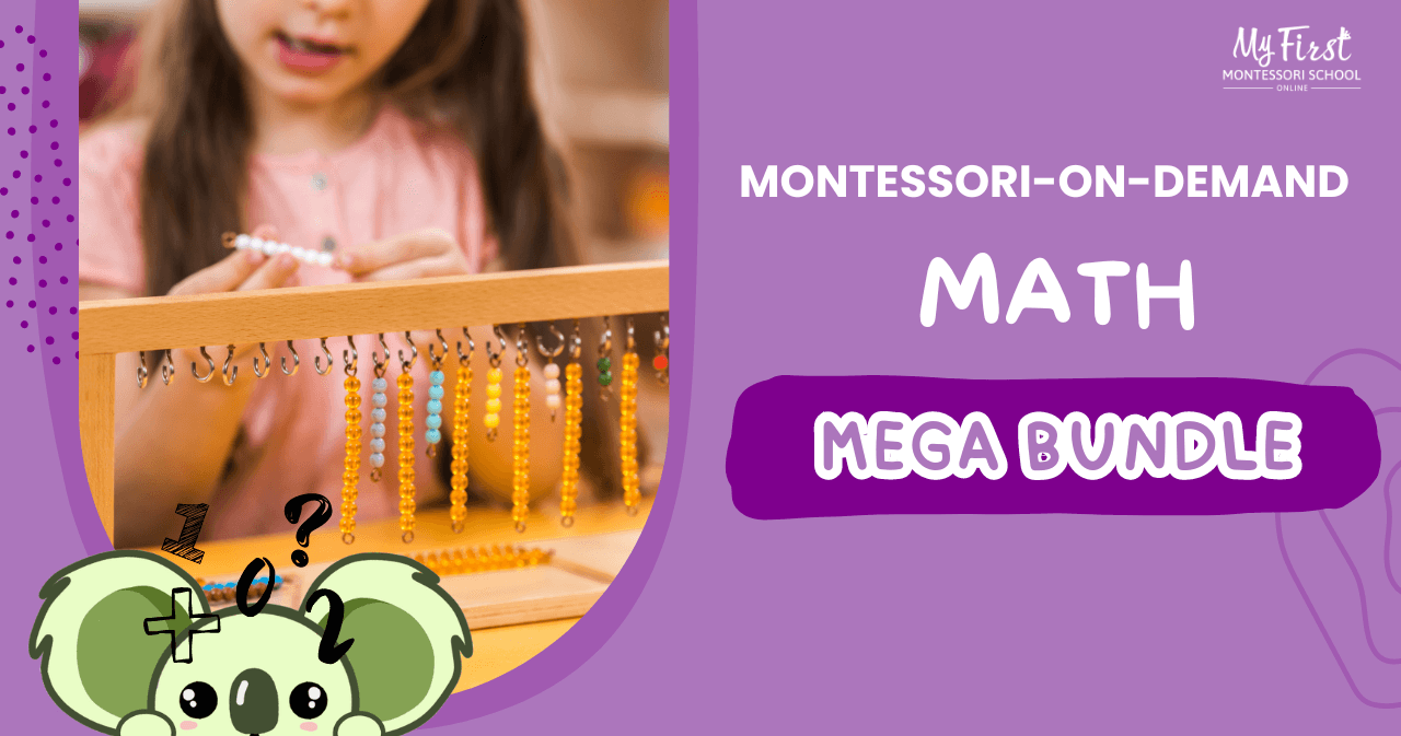 Math Class - MEGA Montessori Math