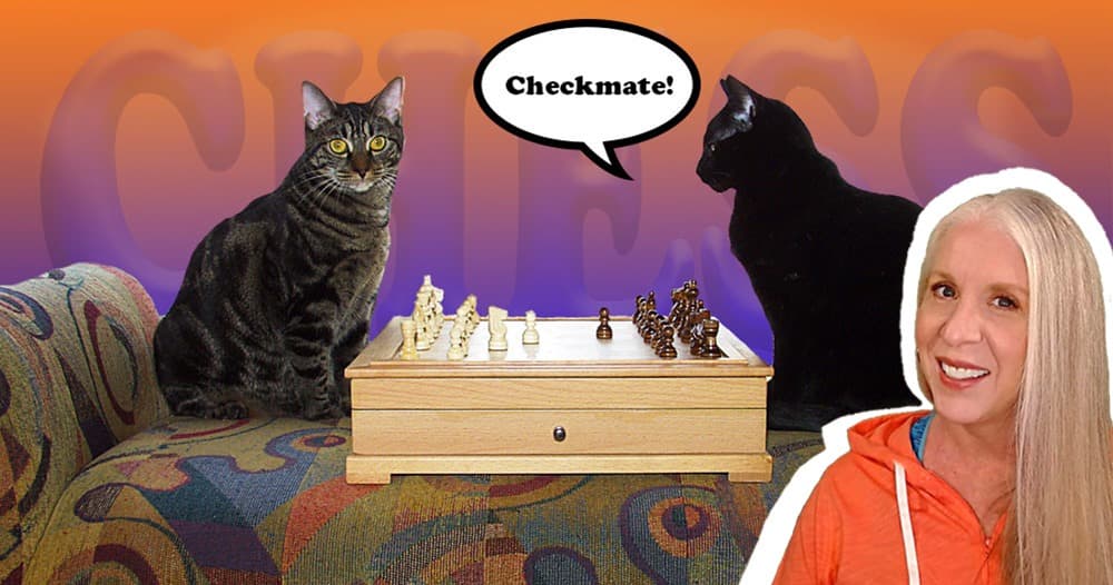 Life Skills Class - Intro to Chess