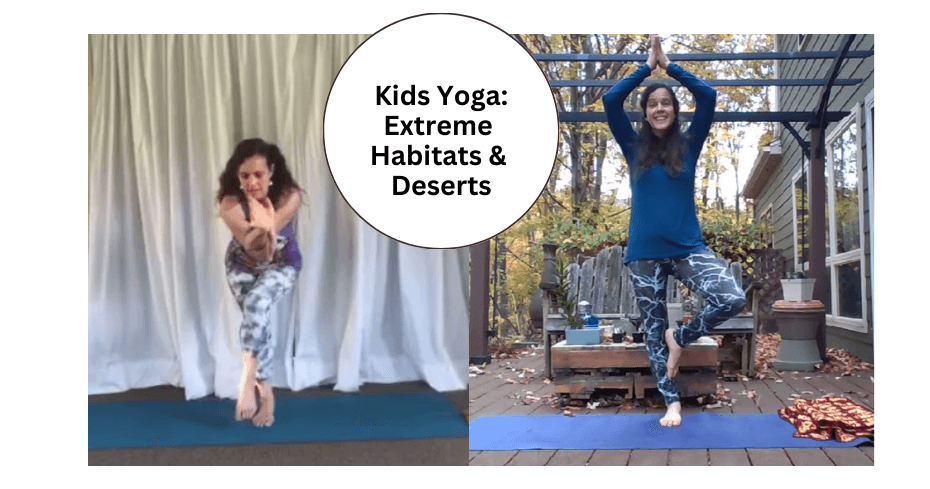 Health & Wellness Class - Yoga Extreme