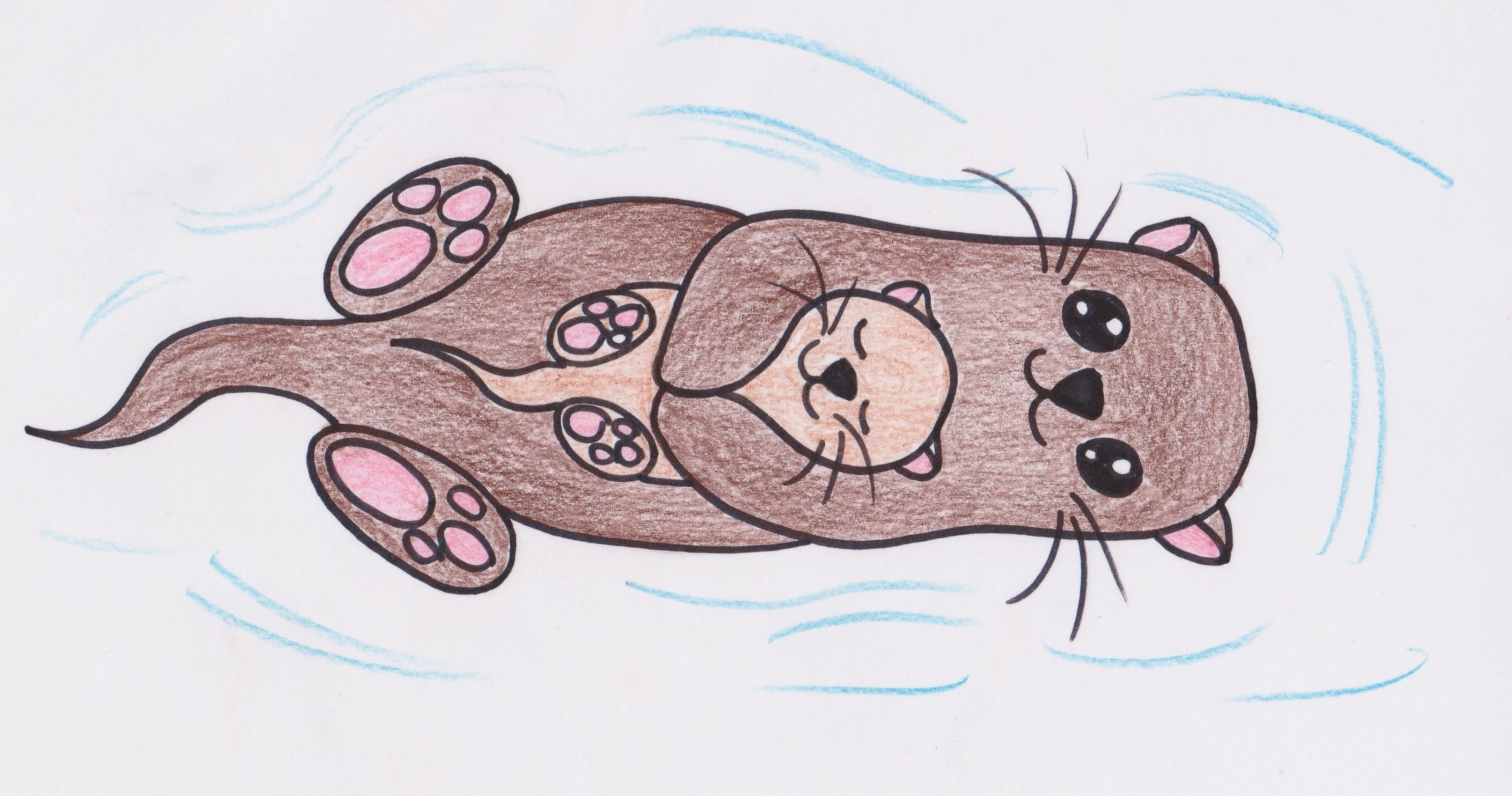 Art Class - Draw an Adorable Otter