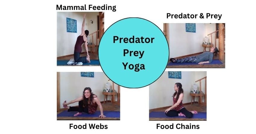 Health & Wellness Class - Predator Prey
