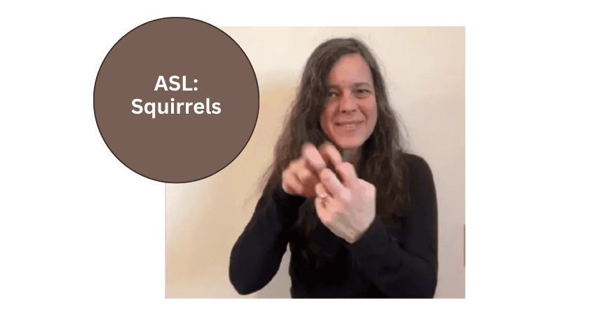 World Languages Class - ASL: Squirrels