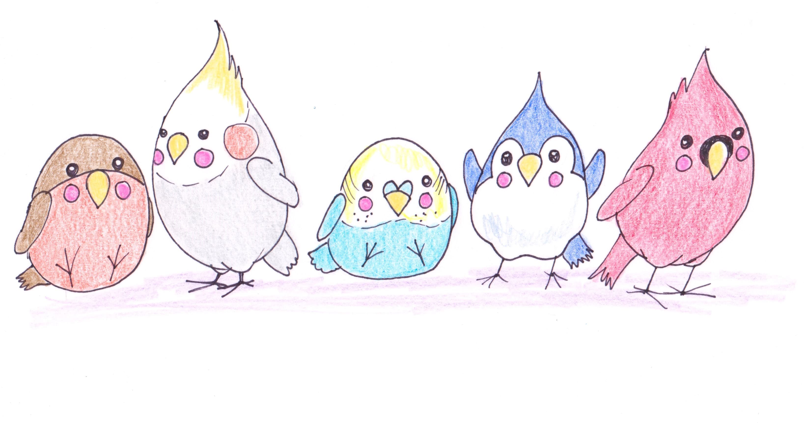 Art Class - Kawaii Cuteness Birds