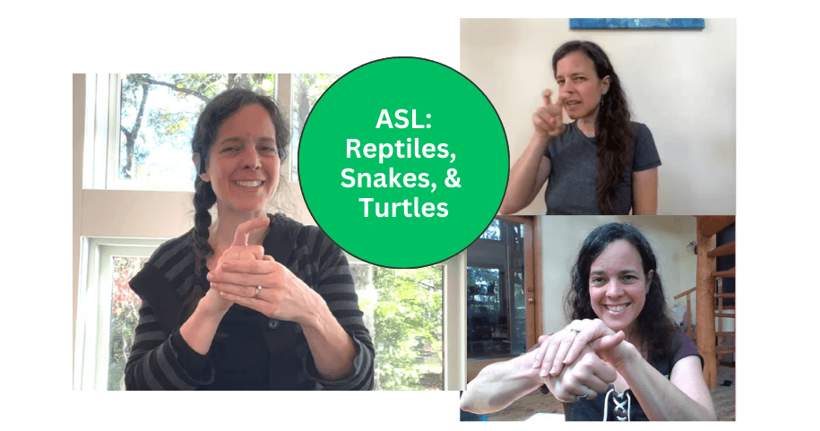 World Languages Class - ASL Reptiles