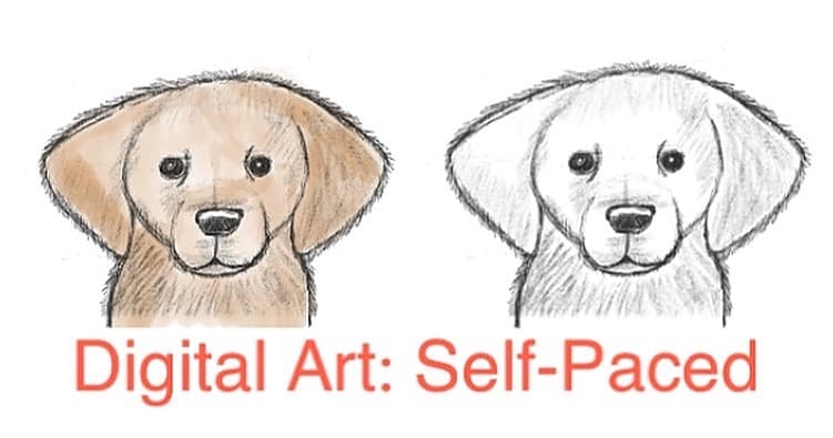 Art Class - Procreate Dog Drawing