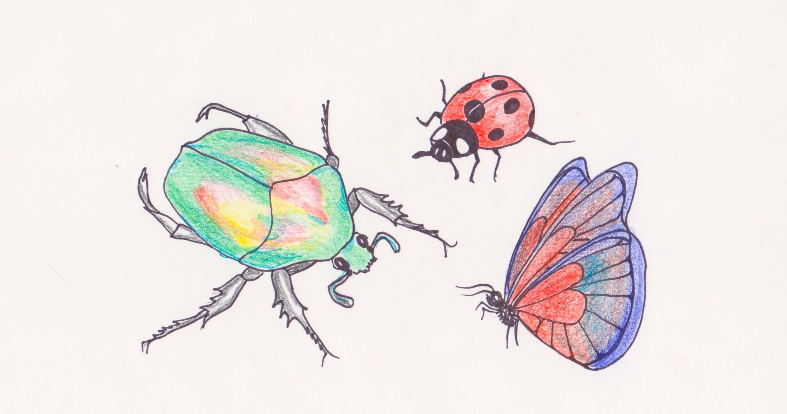Art Class - Backyard Bugs: Insect Art