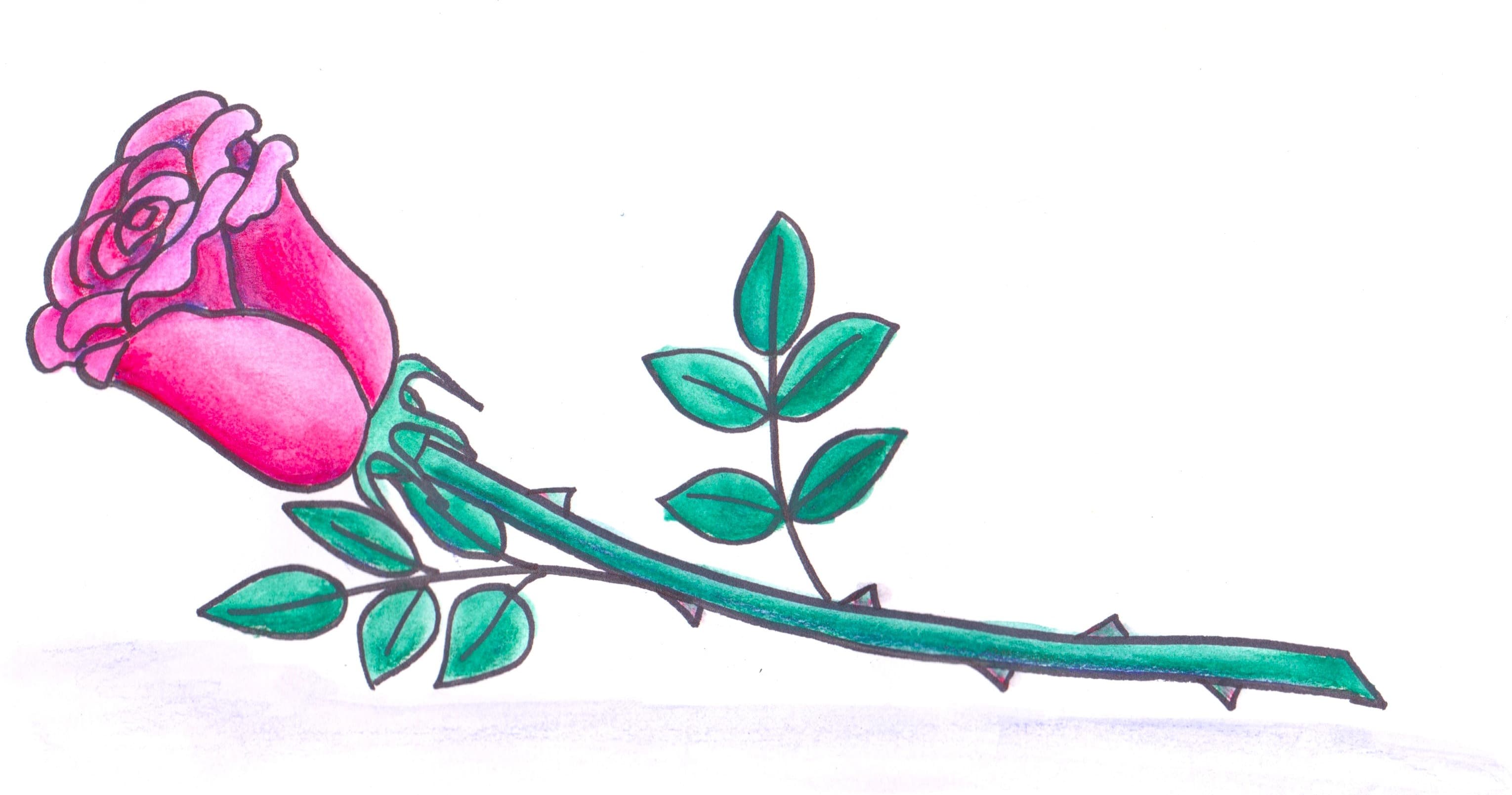 Art Class - Draw & Paint Rosebud Art
