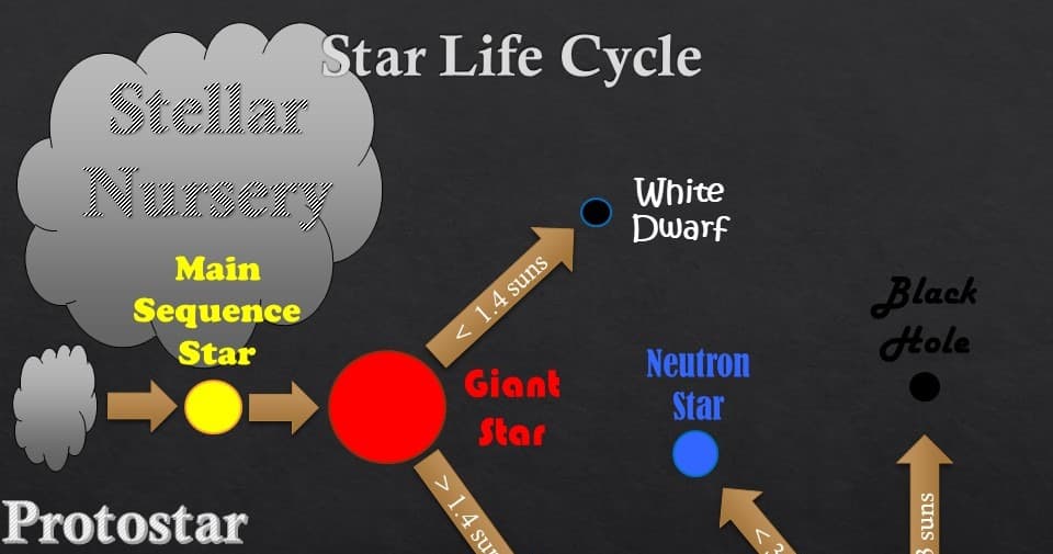 Science & Nature Class - Stellar Life