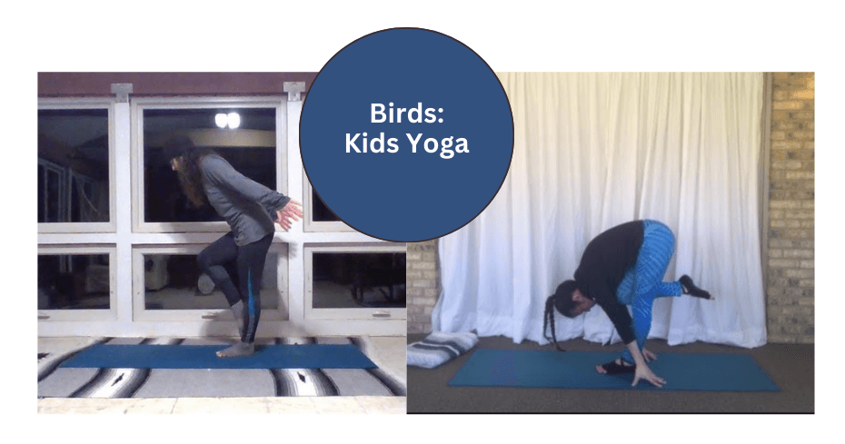 Health & Wellness Class - Avian Yoga