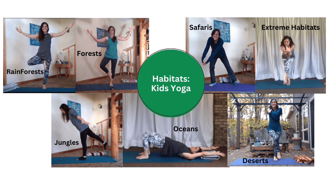 Health & Wellness Class - Biome Yoga