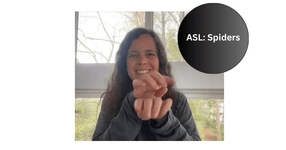 World Languages Class - ASL: Spiders