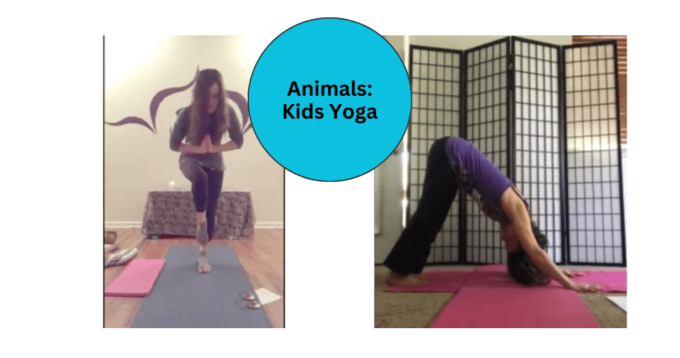 Health & Wellness Class - Anml Yoga Fun