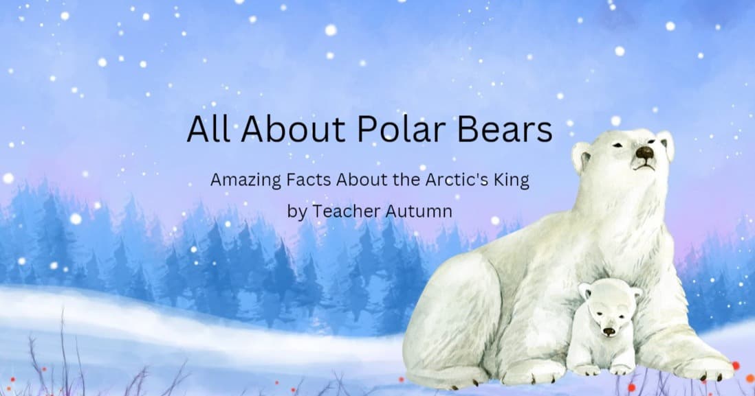 Science & Nature Class - Polar Bears of