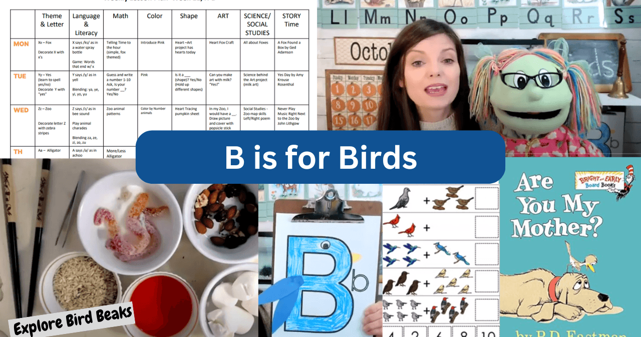 Early Education Class - B is for Birds