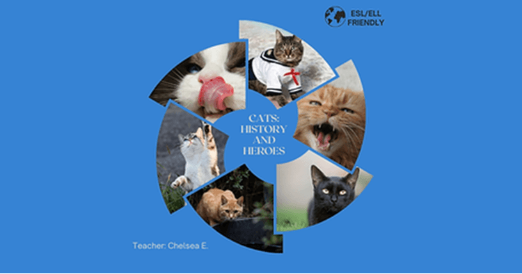 English Class - Cats: Heroic History