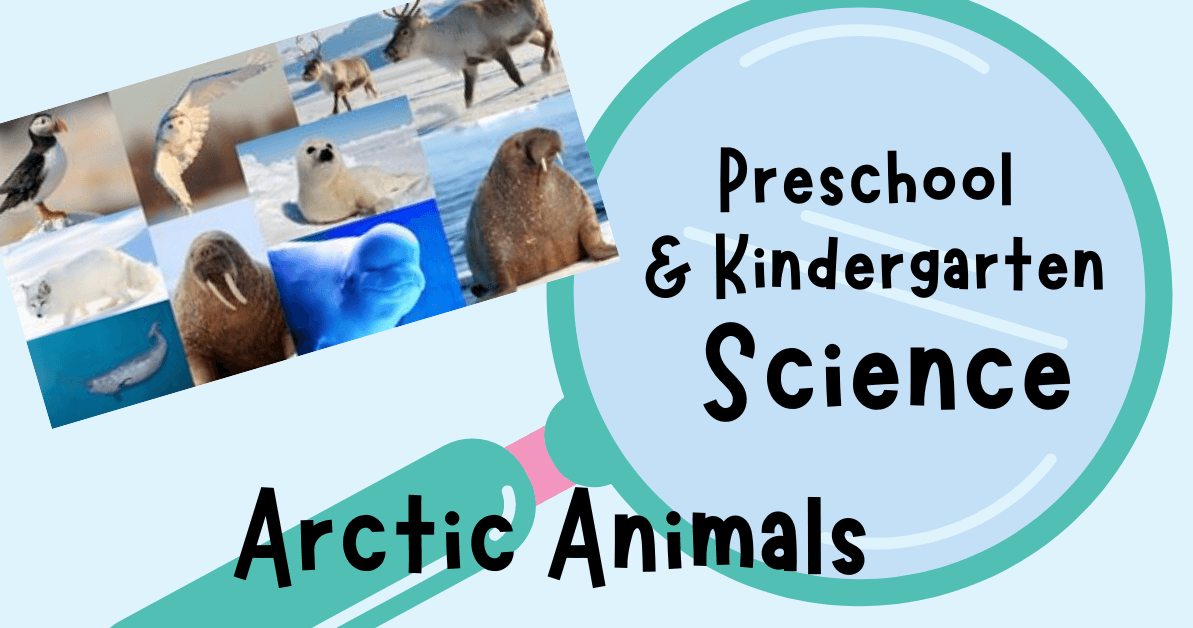 Science & Nature Class - Awesome Arctic