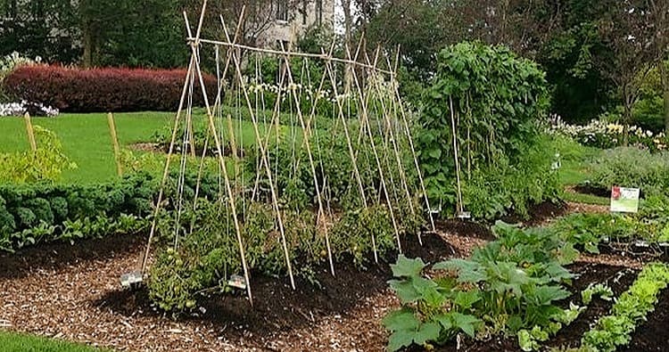 Science & Nature Class - Gardening 101