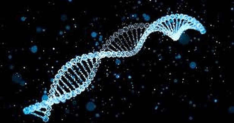 Science & Nature Class - Genetics 101