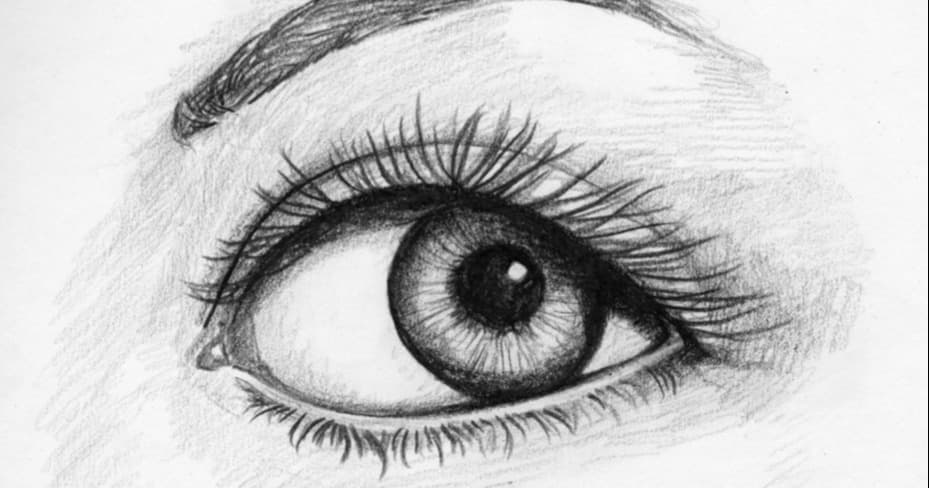 Art Class - Intro to Sketching & Drawing