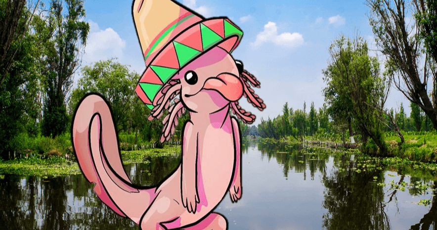 Science & Nature Class - Axolotls 101