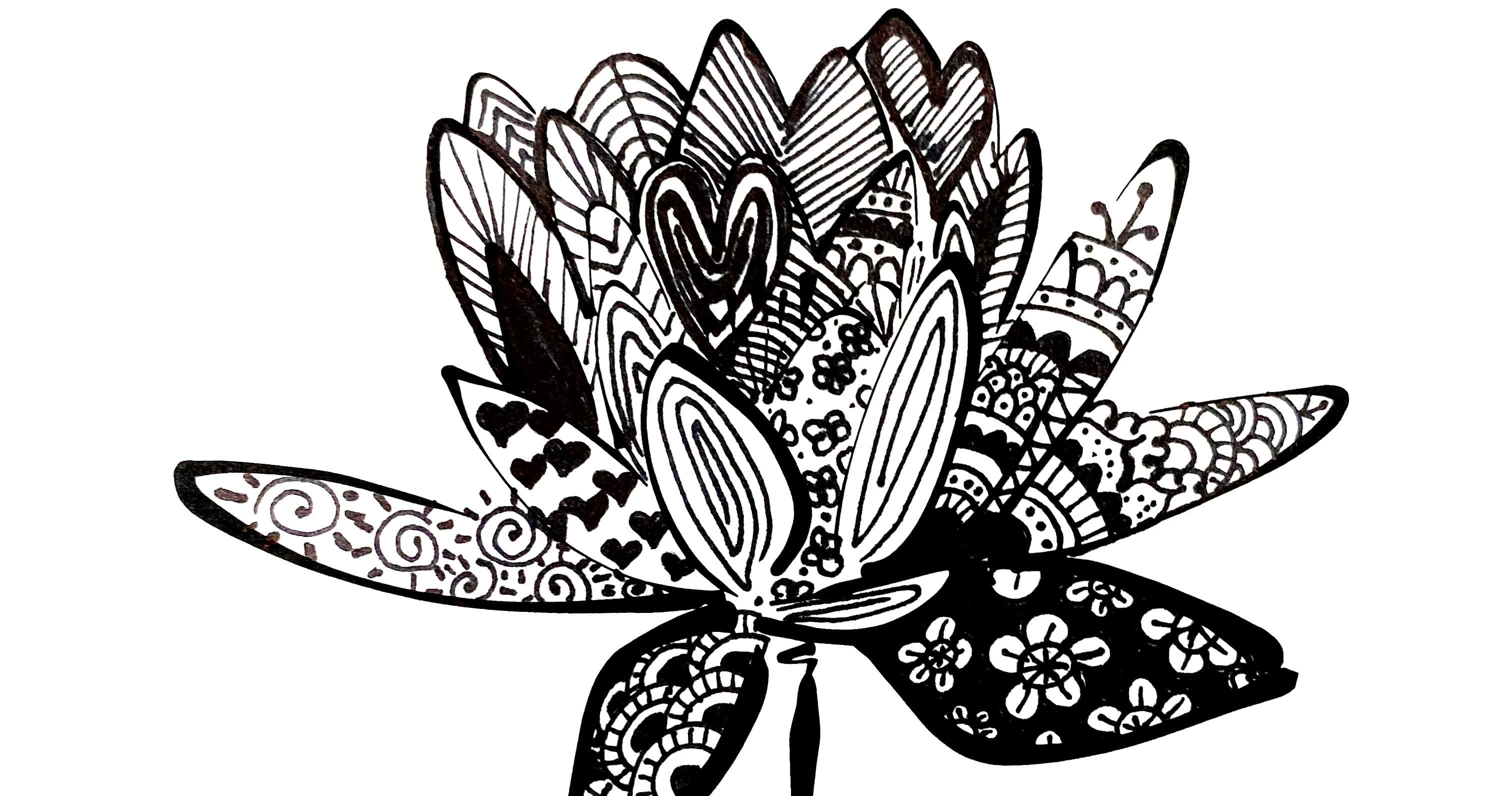 Health & Wellness Class - Mindful Lotus