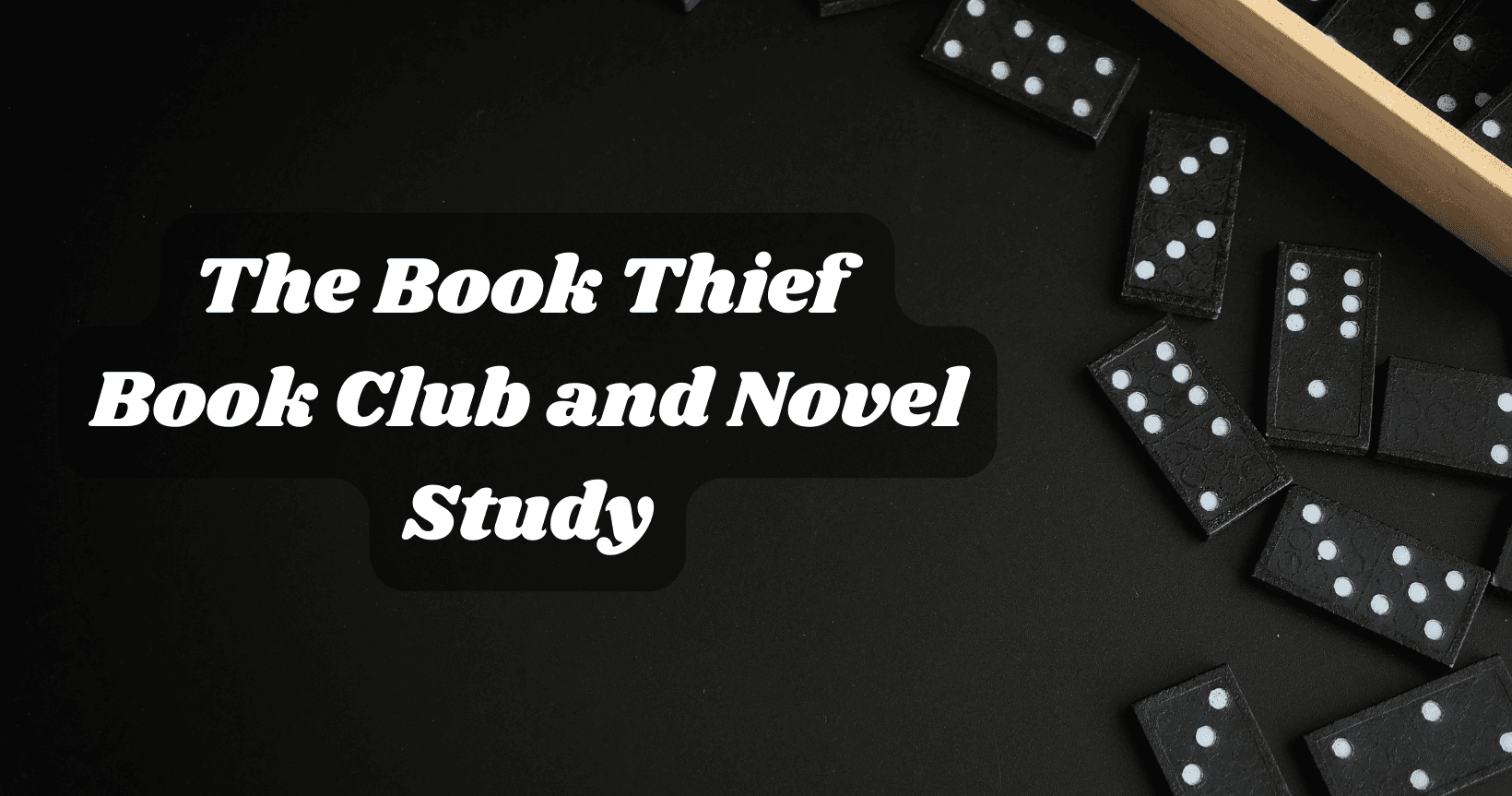 English Class - The Book Thief: Novel