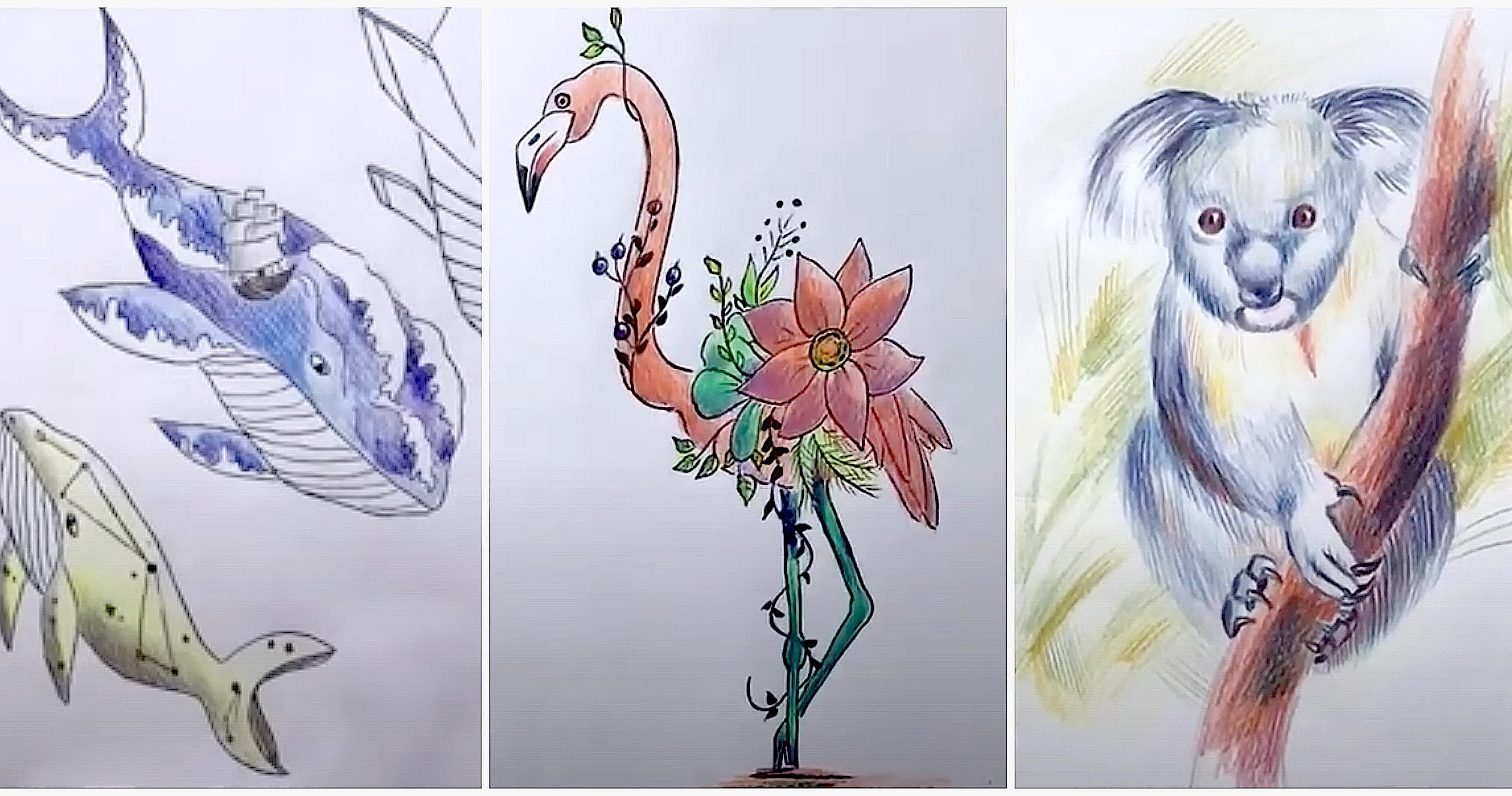 Art Class - Exciting Animal Drawing Art