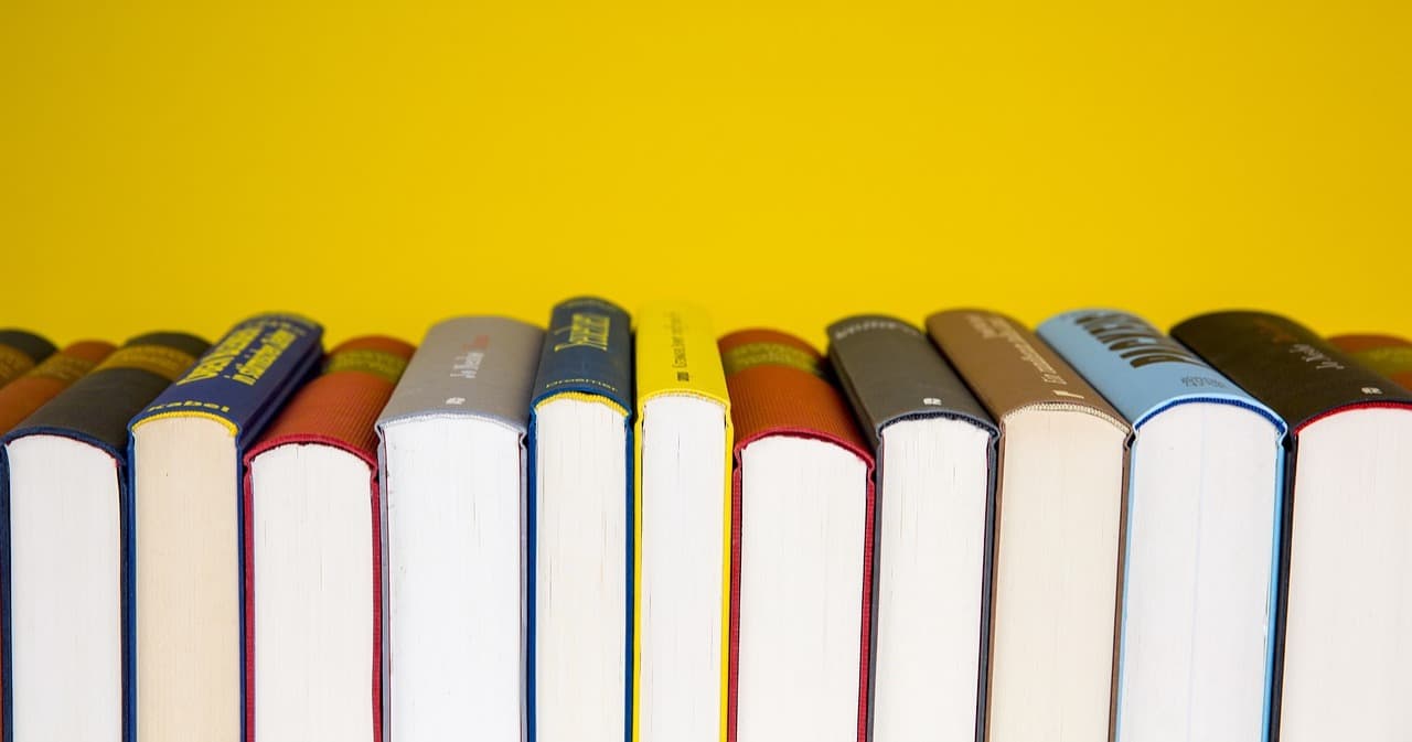 English Class - Mastering 9th/10th ELA